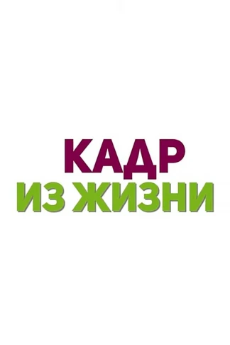 Кадр из жизни