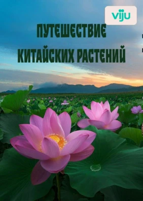 Путешествие китайских растений