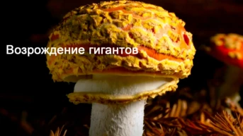 Возрождение гигантов