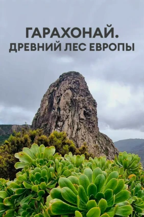 Гарахонай. Древний лес Европы