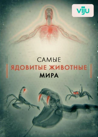 Самые ядовитые животные мира