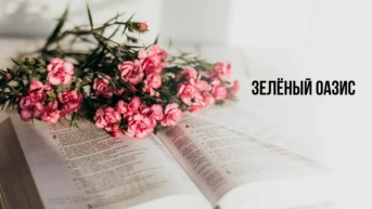 Зелёный оазис