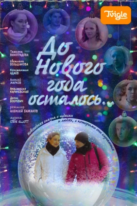 До Нового года осталось…