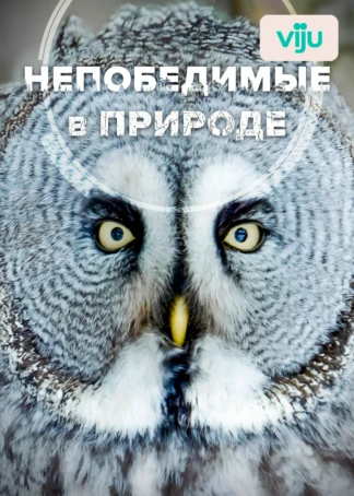 Непобедимые в природе