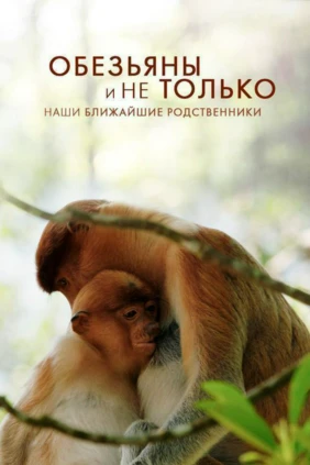 Обезьяны и не только: наши ближайшие родственники