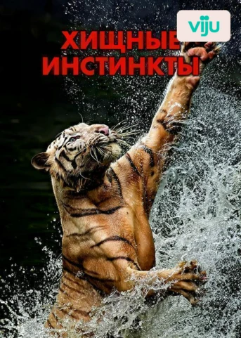 1 серия