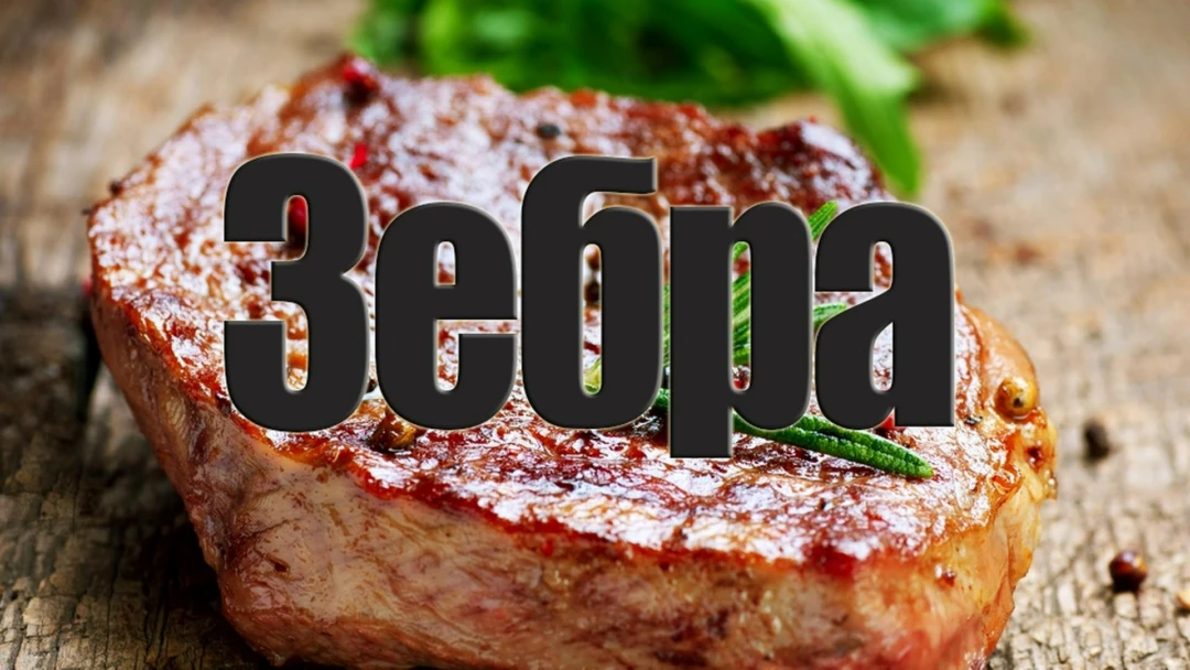 Передача Зебра
