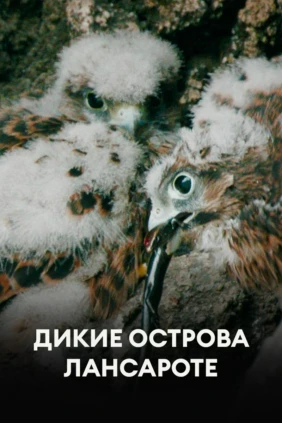 Дикие острова Лансароте