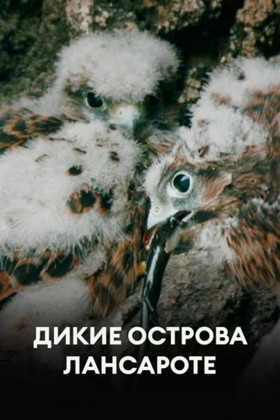 Дикие острова Лансароте