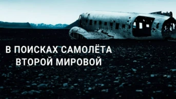 В поисках самолёта Второй Мировой