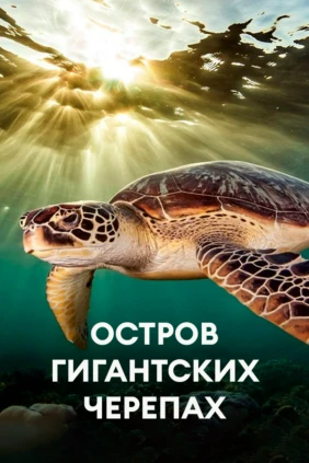 Остров гигантских черепах