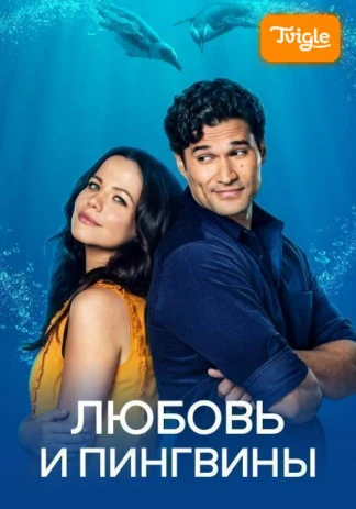 Любовь и пингвины