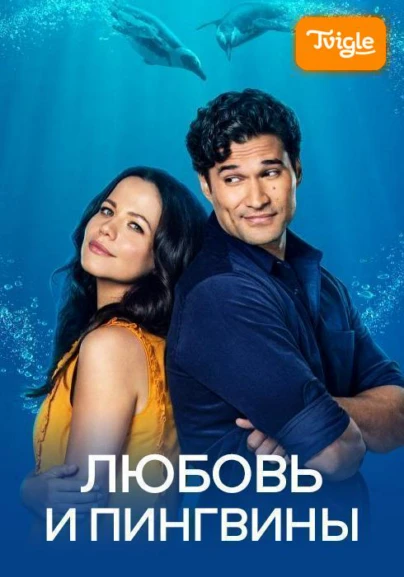 Любовь и пингвины