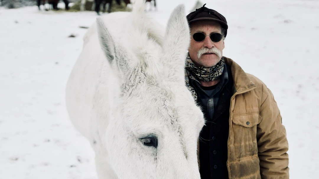 Сериал Река забвения