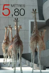 5,80 метров