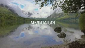 Благодарность