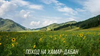 Поход на Хамар-Дабан