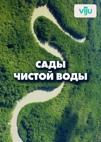 Серия 1