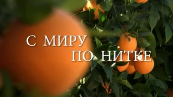 С миру по нитке