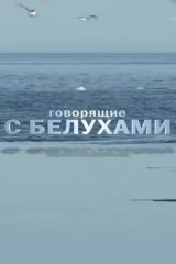 Говорящие с белухами