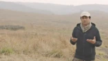 Куриная Планета