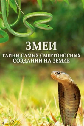 Змеи. Тайны самых смертоносных созданий на земле