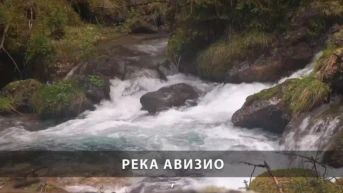 Река Авизио