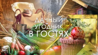 Дачный угодник в гостях