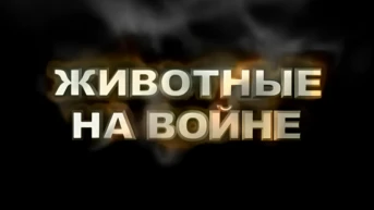 Животные на войне