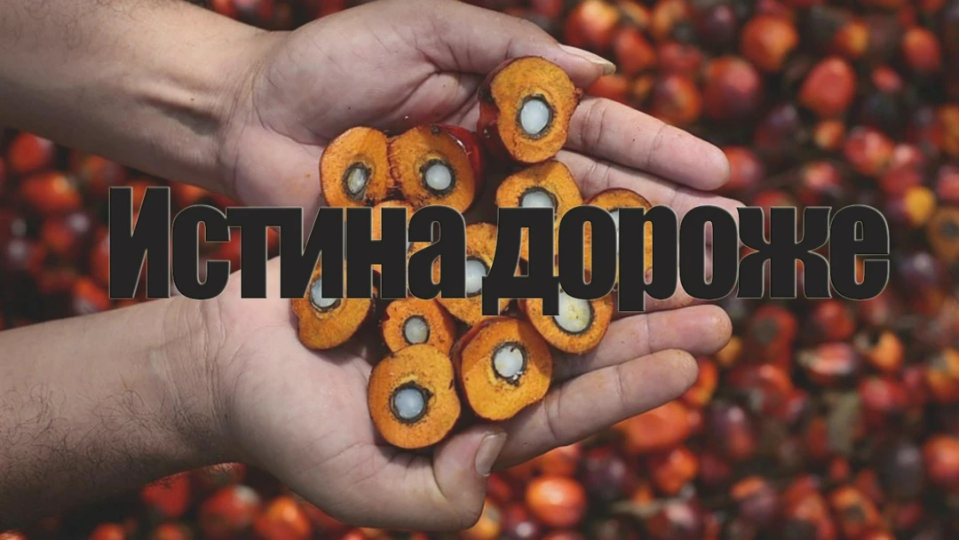 Передача Истина дороже