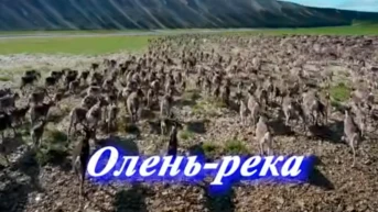Олень-река