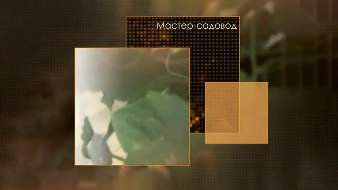 Передача Мастер-садовод