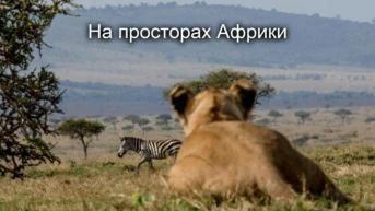 На просторах Африки
