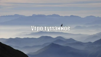 Утро туманное