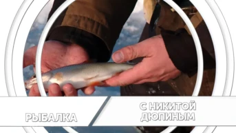 Рыбалка с Никитой Дюпиным