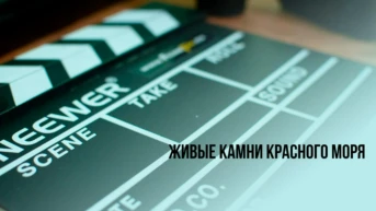 Живые камни Красного моря