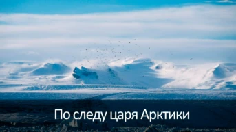 По следу царя Арктики
