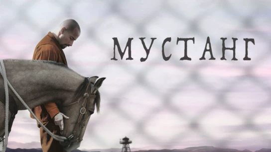 Мустанг