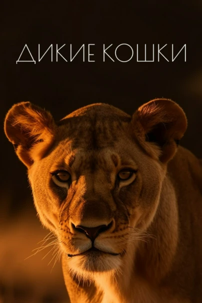 Дикие кошки