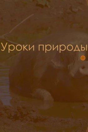 Уроки природы