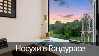 Носухи в Гондурасе