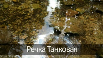 Речка Танковая