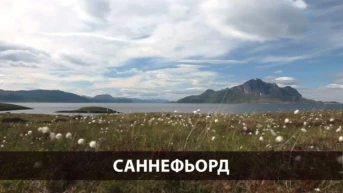 Саннефьорд