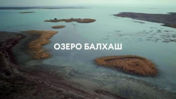 Озеро Балхаш