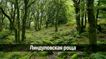Линдуловская роща