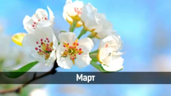 Март