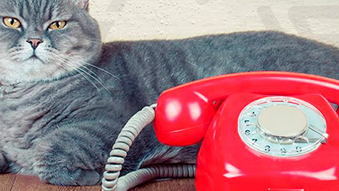 Передача Lucas and Steve feat. Jake Reese. Calling On You