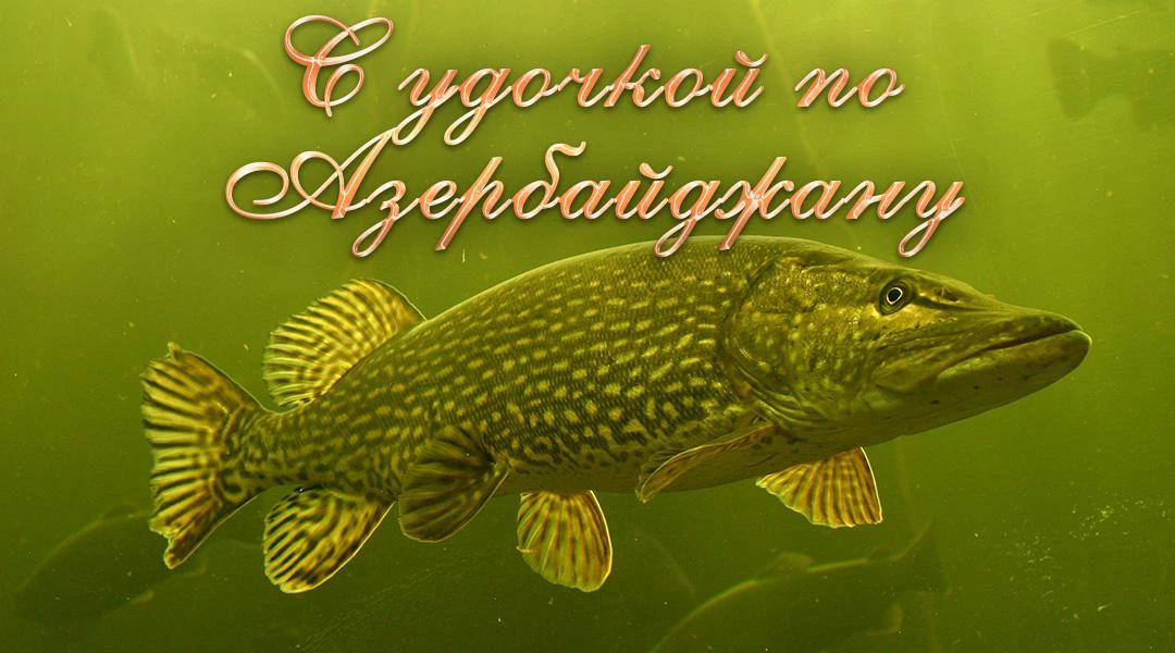 Передача С удочкой по Азербайджану