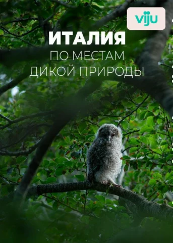 1 серия