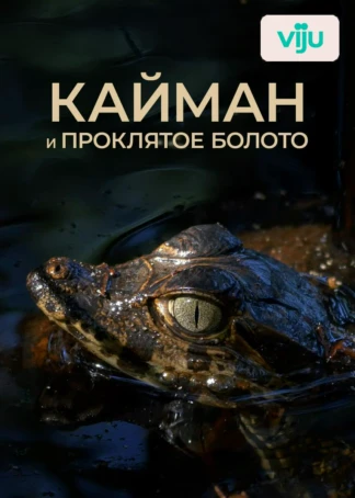 Кайман и проклятое болото